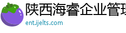 陕西海睿企业管理咨询有限公司